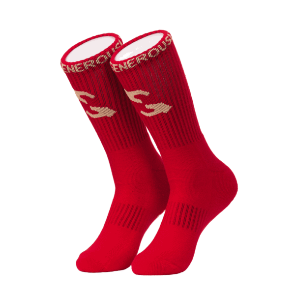 GIVE GENEROUSLY socks